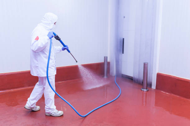Best Solar Panel Cleaning  in Hackleburg, AL